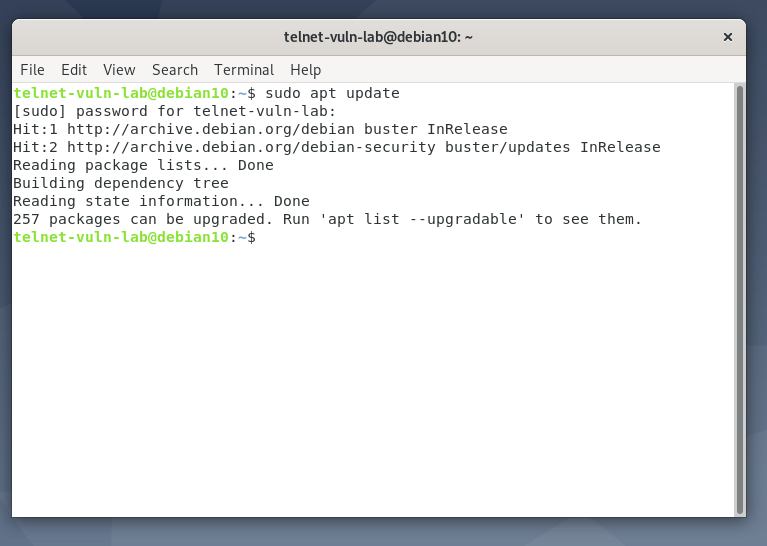 Running sudo apt update on Debian 10