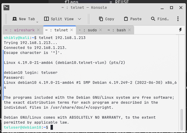 Successful Telnet login as teluser