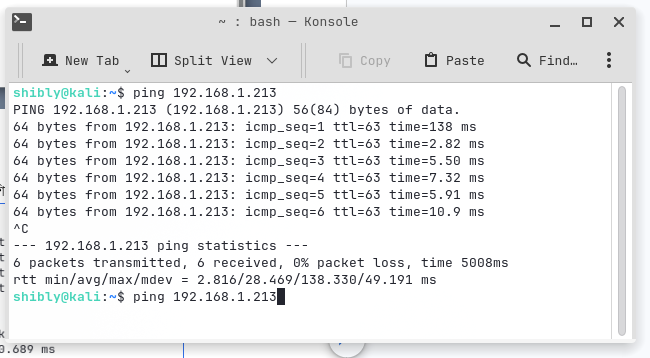Ping test from Kali to victim machine