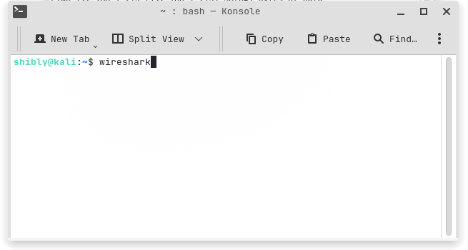 Launching Wireshark from Kali terminal